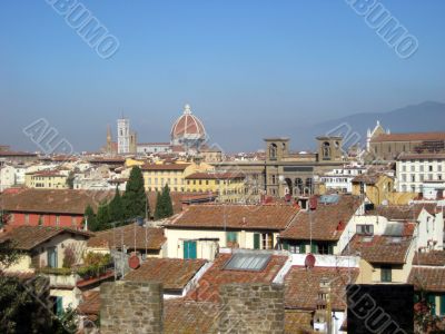 Florence view
