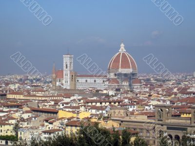 Florence view