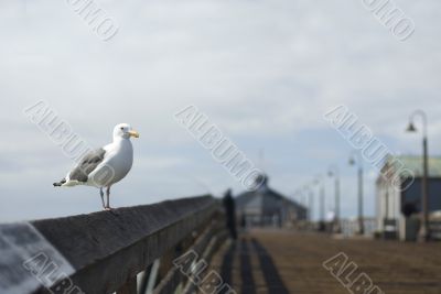 Imperial Beach Pier