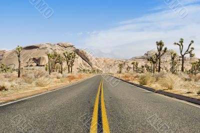 Joshua tree national park