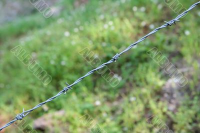 Single strand of barbed wire