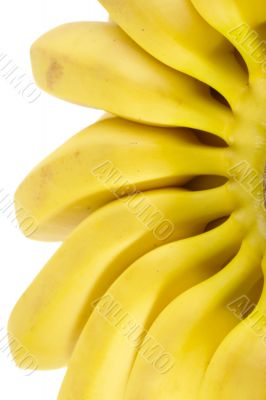 Bunch of Bananas