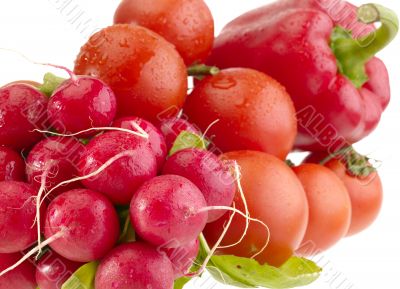 Different fresh tasty vegetables