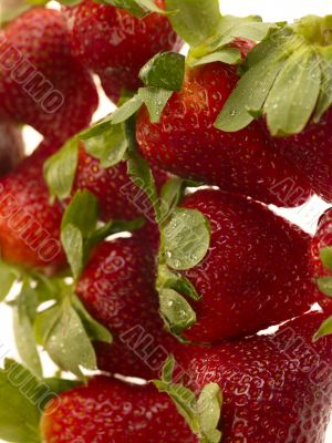 strawberry on white background