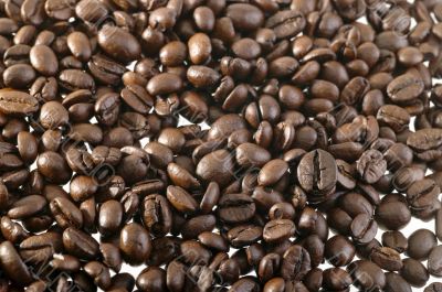 coffee beans