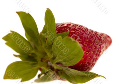 strawberry on white background