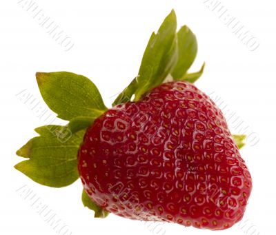strawberry on white background