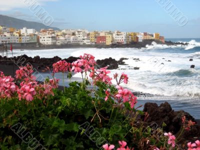 the black volcanic beach and the waves