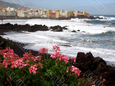 the black volcanic beach and the waves