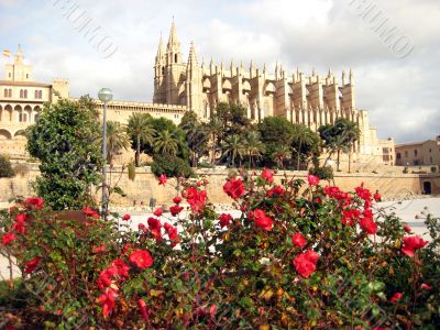 cathedral and flowers
