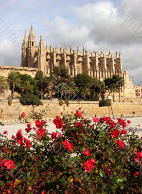 cathedral and flowers
