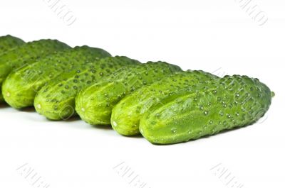 green cucumber vegetable fruits  isolated on white background