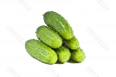 green cucumber vegetable fruits  isolated on white background