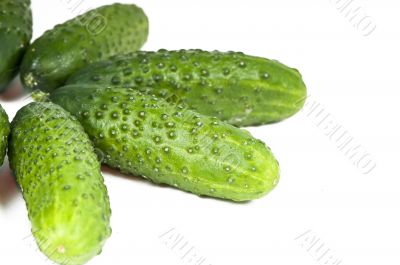 green cucumber vegetable fruits  isolated on white background