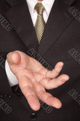 Businessman Gesturing with Hand