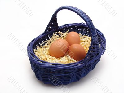 Eggs in the basket on the white background