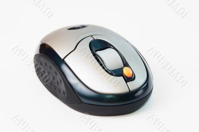 the computer mouse isolated on white background