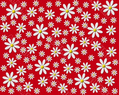 colorful flowers