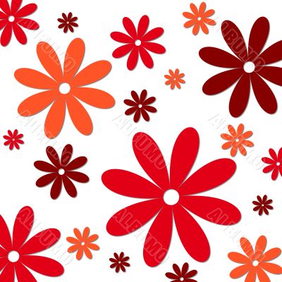 colorful flowers