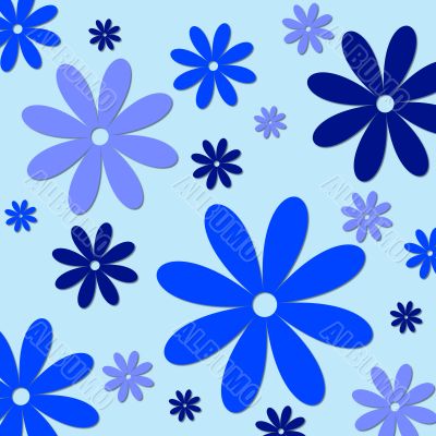 colorful flowers