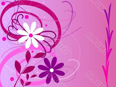 colorful flowers