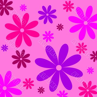 colorful flowers