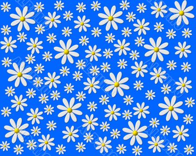 colorful flowers