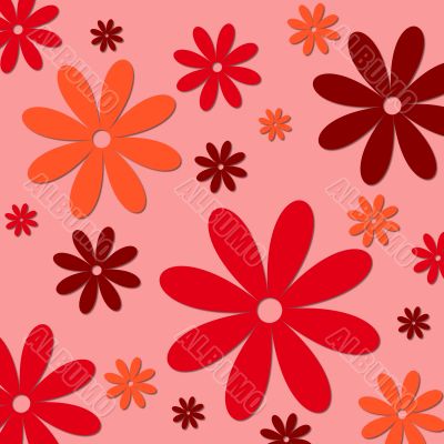 colorful flowers