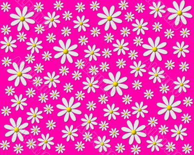 colorful flowers