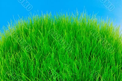 Green Hill