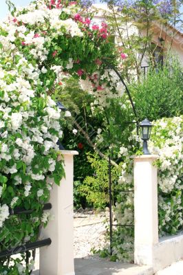 Flowers arch at the house
