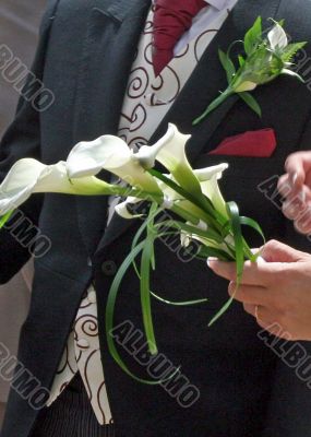 Lilies and Suit