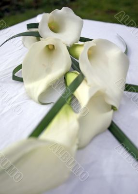 Lilies