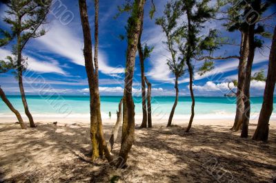 Beach Scenic