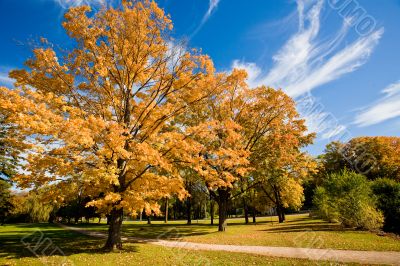 Autumn Scenic