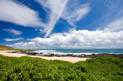 Beach Scenic