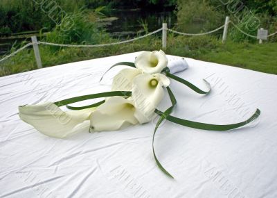 Lilies