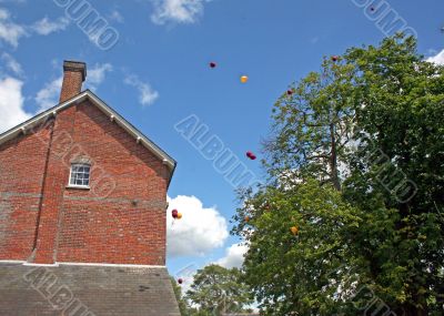 Flying Balloons