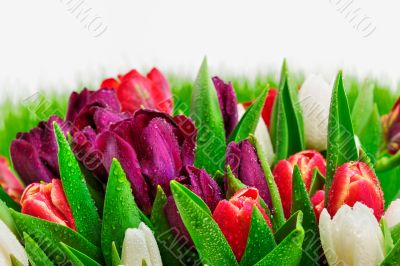 Flowerbed