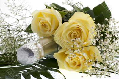 roses with champagne bottle
