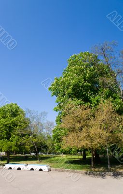 Spring park