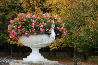 Flowers in a vase in park of castle Chenonceau