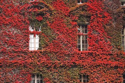 Beautiful facade of a building