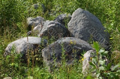 Big stones in grass