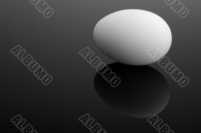 white egg