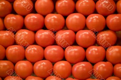 Tomatoes