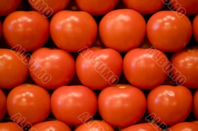 Tomatoes