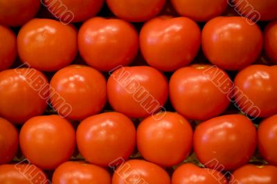 Tomatoes