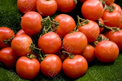 Tomatoes