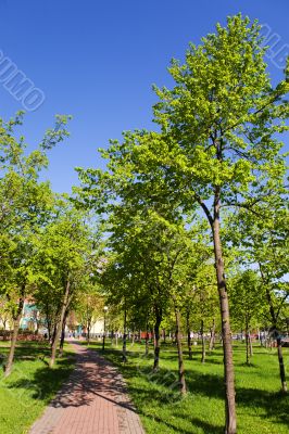 Spring in city